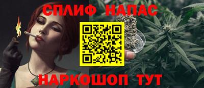 сатива Кулебаки