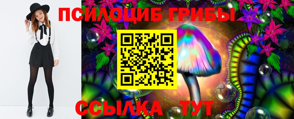 Галлюциногенные грибы Psilocybine cubensis  Вход с VPN  Каменск-Уральский 